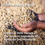 Don Memo Coffee – Dark Roast 3‑Pack (3 x 12 oz), Single‑Origin Arabica with Dark Chocolate & Roasted Nuts Flavor